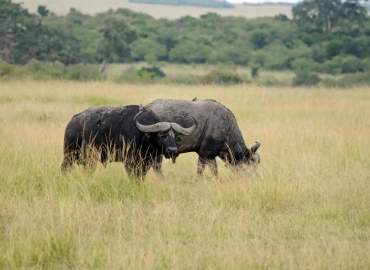 Is it Travel to Safe Tanzania 