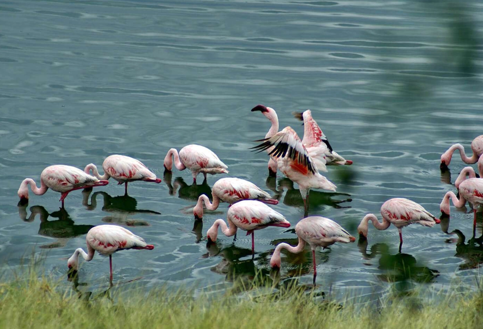 Lake Manyara Day Trip Attractions 