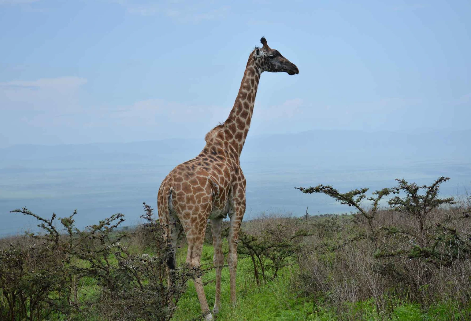 Lake Manyara Day Trip Attractions 