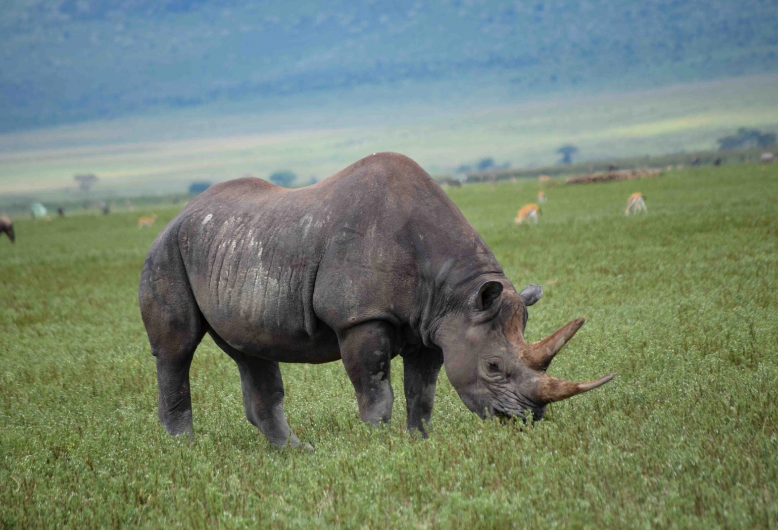 Ngorongoro Day Trip Attractions 
