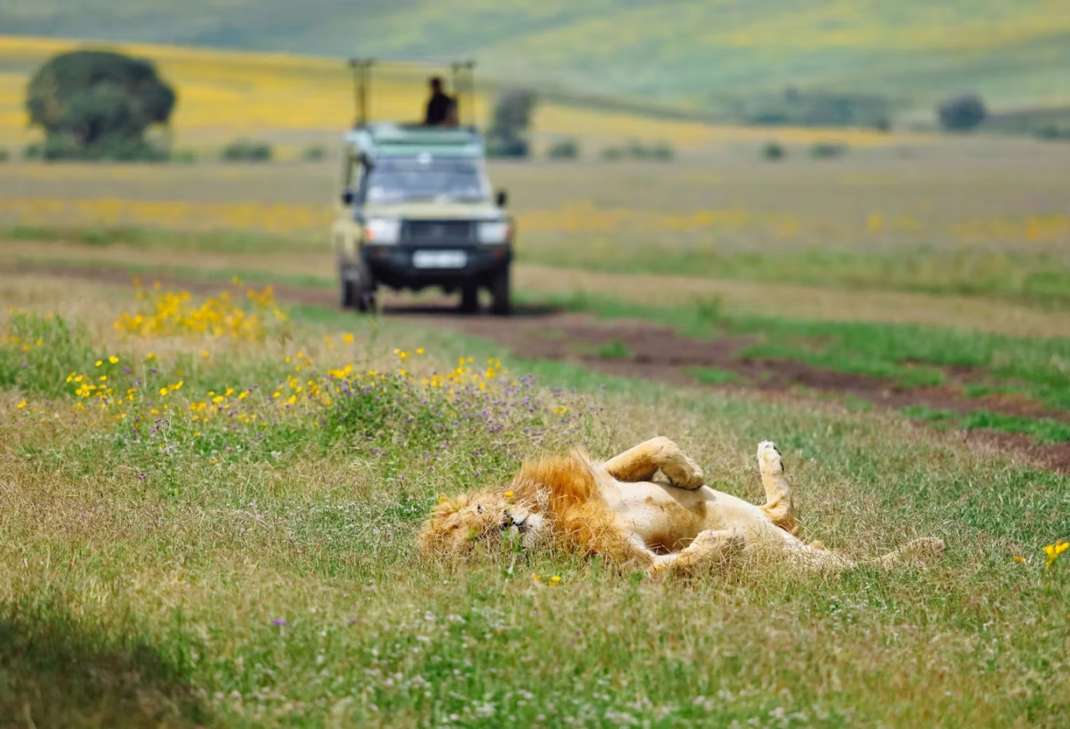 Ngorongoro Day Trip Attractions 