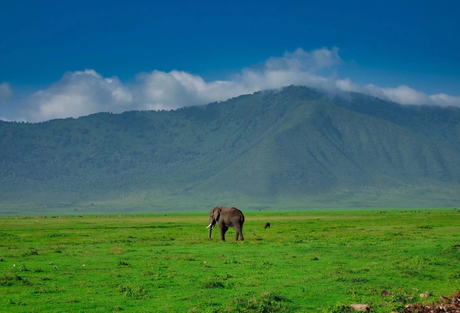 Ngorongoro Day Trip Attractions 
