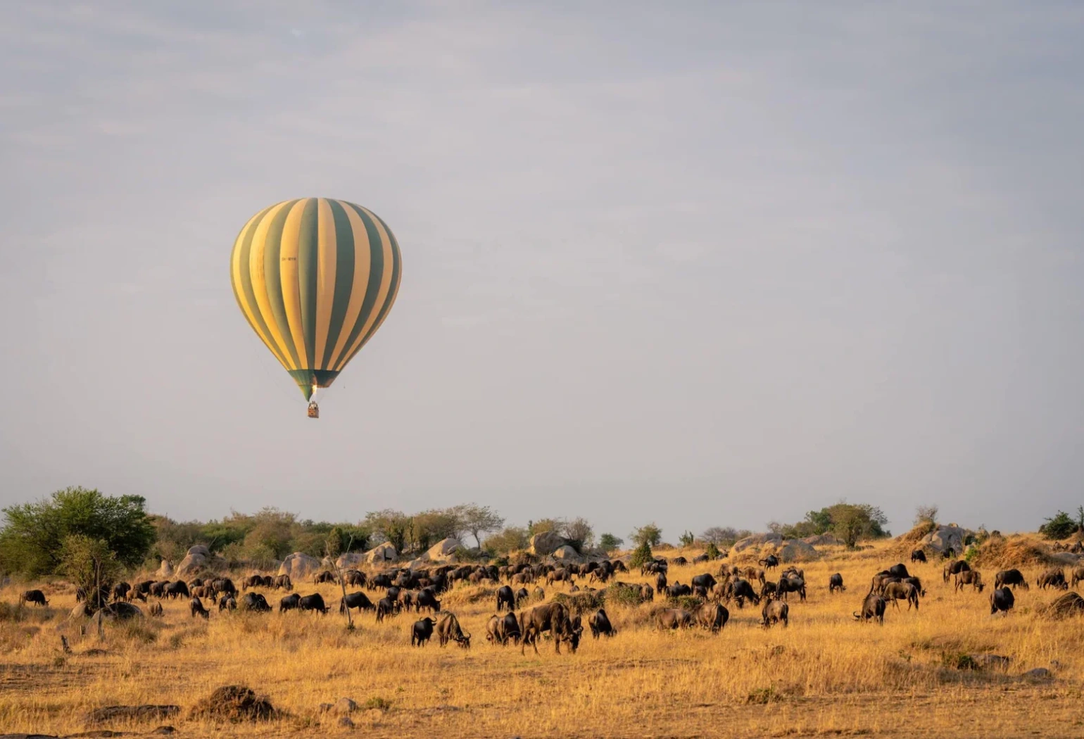 Serengeti Balloon Safari Attractions 